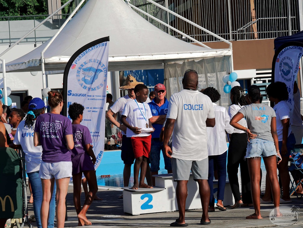 P1009227-shark.jpg