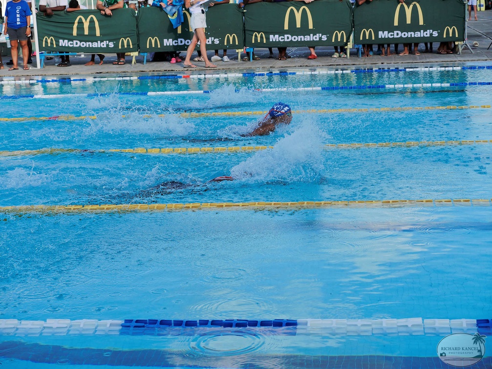 P1009276-shark.jpg