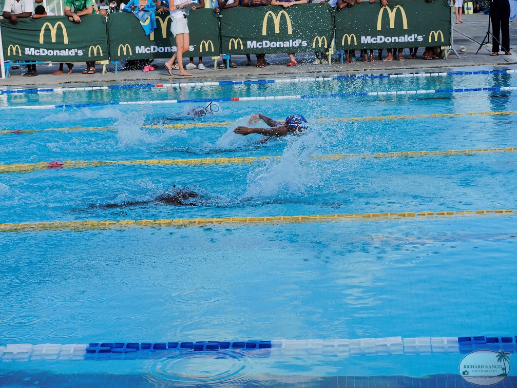 P1009278-shark.jpg