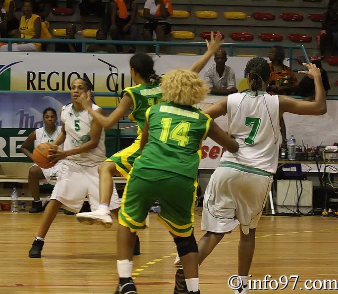 basket2010-feminine8.jpg