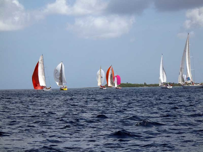 tour-voile-guadeloupe26.jpg