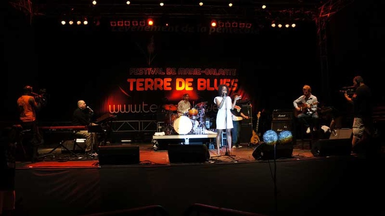 terr-de-blues-2012-artiste2-148.jpg