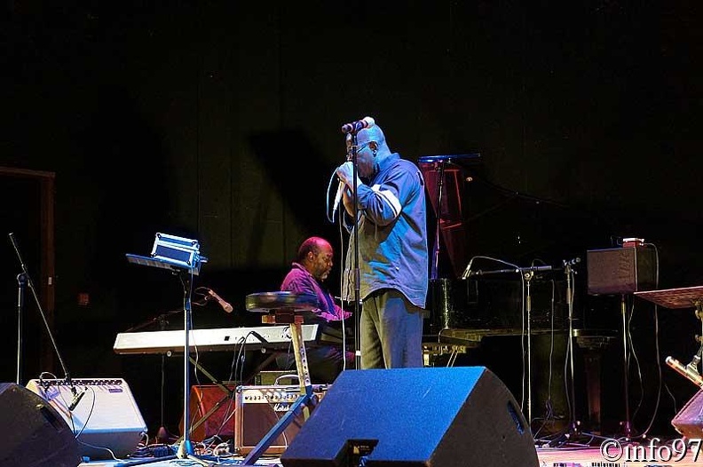 festival-jazz-harmonicas7.jpg