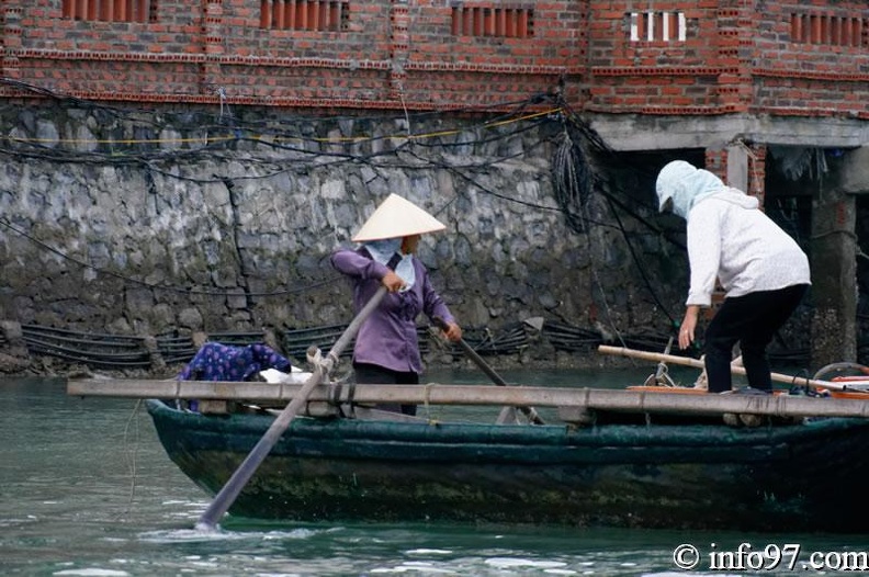 DSC02255baie-halong.jpg