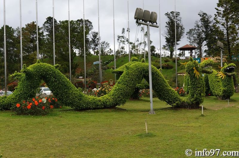 DSC03395dalat-jardin.jpg