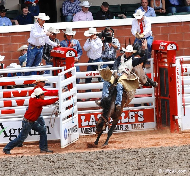 rodeo-stampede-alberta-055.jpg