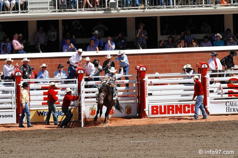 rodeo-stampede-alberta-082.jpg