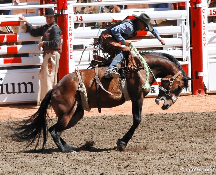 rodeo-stampede-alberta-083.jpg