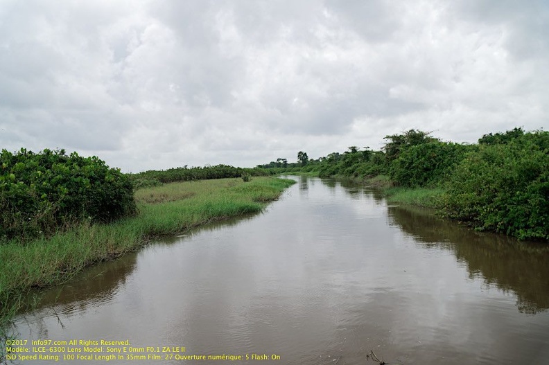 guyane018-marais-kaw.jpg