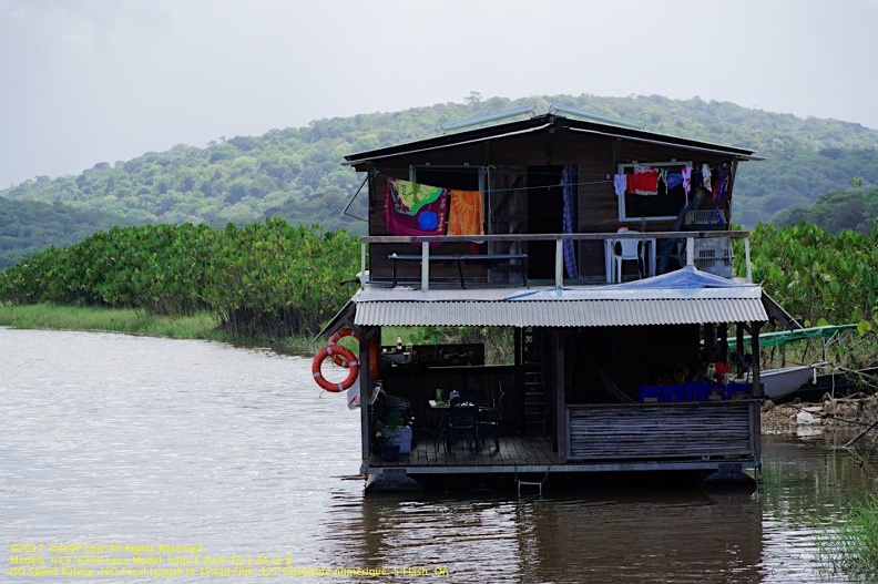 guyane038-marais-kaw.jpg