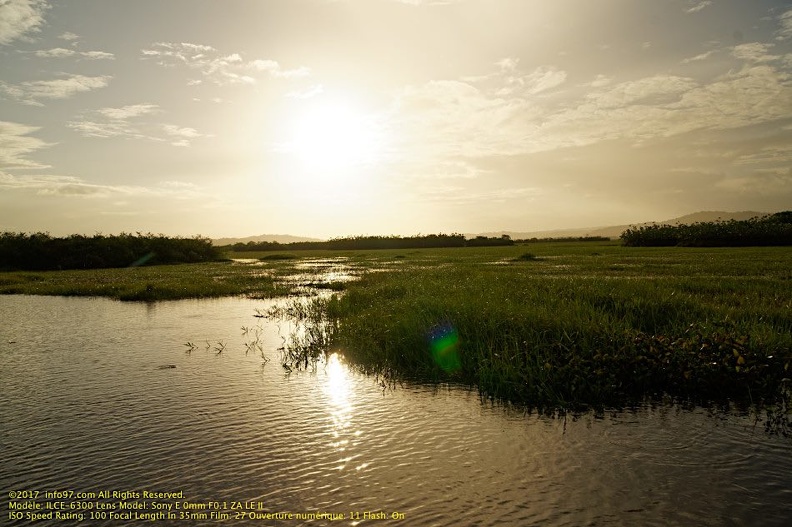 guyane069-marais-kaw.jpg