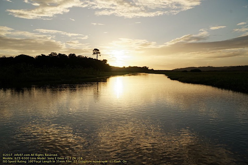 guyane075-marais-kaw.jpg