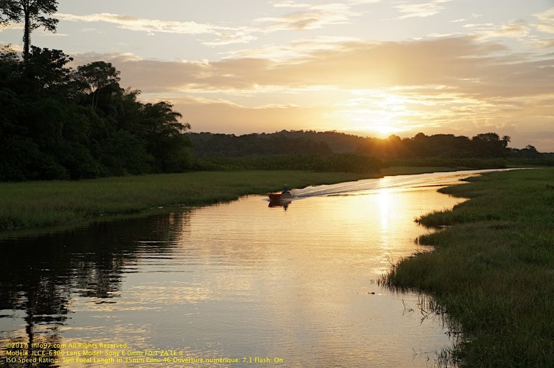 guyane080-marais-kaw.jpg