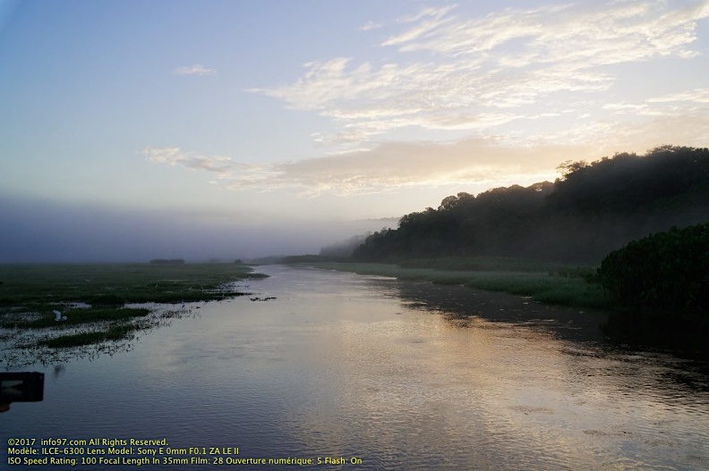 guyane094-marais-kaw.jpg