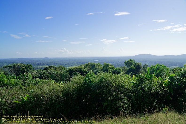 guyane05-montagne-des-singes.jpg