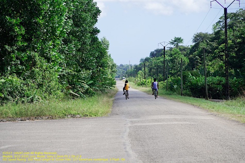 guyane19-montagne-des-singes.jpg