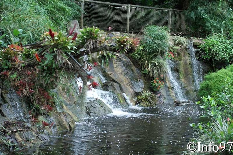 jardin-botanique-deshaies68.jpg