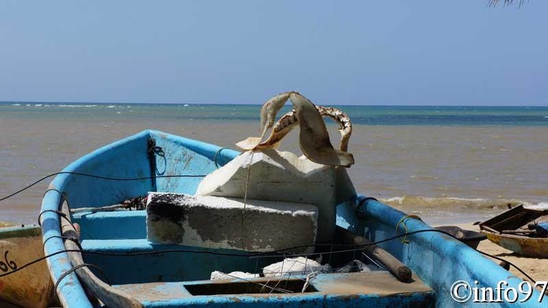 plage-saint-domingue21.jpg