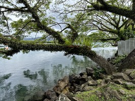 DJI 20251025 085719 219-savusavu