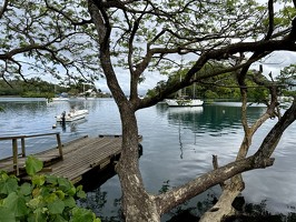 DJI 20251025 091212 229-savusavu