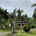 IMG 2550-savusavu