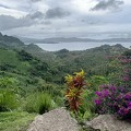IMG 2616-savusavu