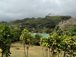 IMG 2884-rarotonga-NZ