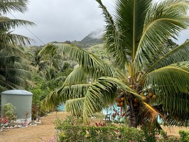 IMG 2888-rarotonga-NZ