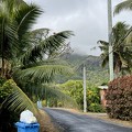 IMG 2889-rarotonga-NZ