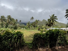 IMG 2895-rarotonga-NZ