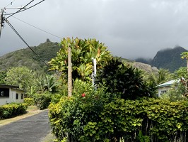 IMG 2896-rarotonga-NZ