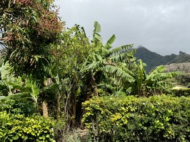 IMG 2898-rarotonga-NZ