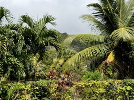 IMG 2900-rarotonga-NZ