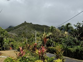 IMG 2901-rarotonga-NZ
