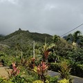IMG 2901-rarotonga-NZ