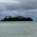 IMG 2954-rarotonga-NZ