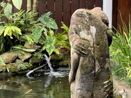 IMG 2984-rarotonga-NZ