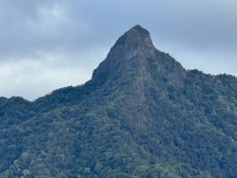 IMG 3002-rarotonga-NZ