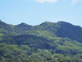 P1010249-rarotonga-NZ