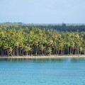 P1010328-Huahine