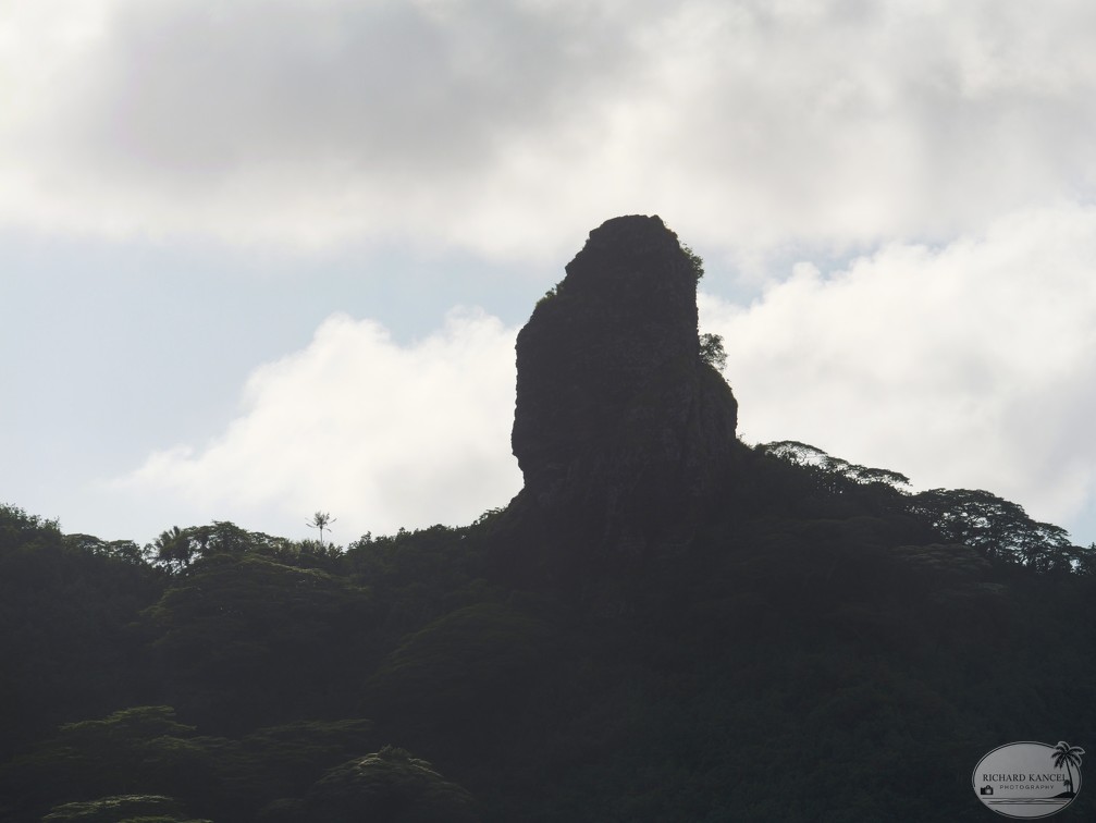 P1010342-Huahine.jpg