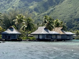IMG 3282-Moorea