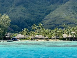 IMG 3283-Moorea