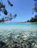 IMG 3297-Moorea