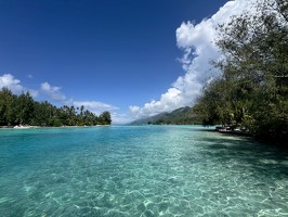 IMG 3318-Moorea