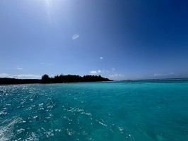 IMG 3325-Moorea