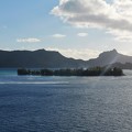 P1010268-Moorea