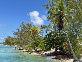 IMG 3556-Rangiroa