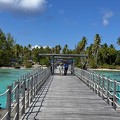 IMG 3636-Rangiroa