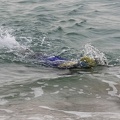 _1042479carifta-games-course1.jpg